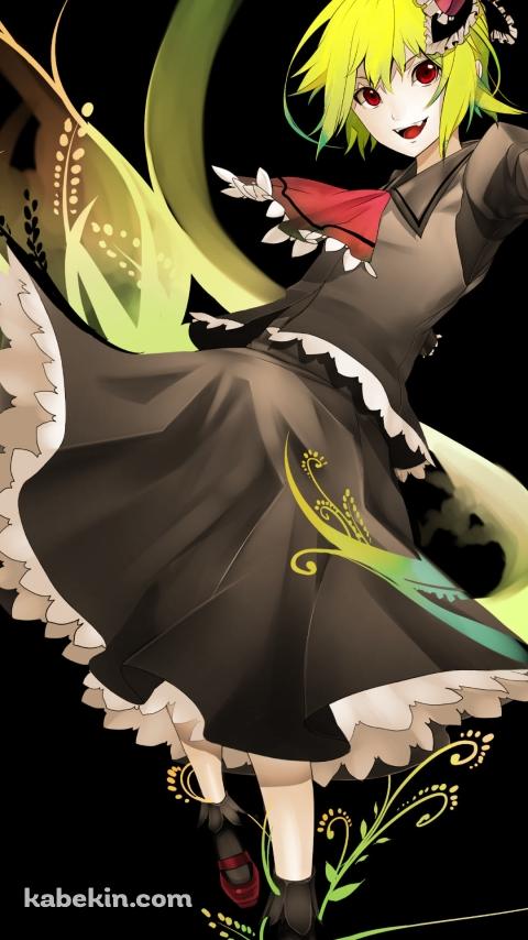 暗がりで踊るルーミア / 東方のAndroidの壁紙(480px x 854px) スマホ用