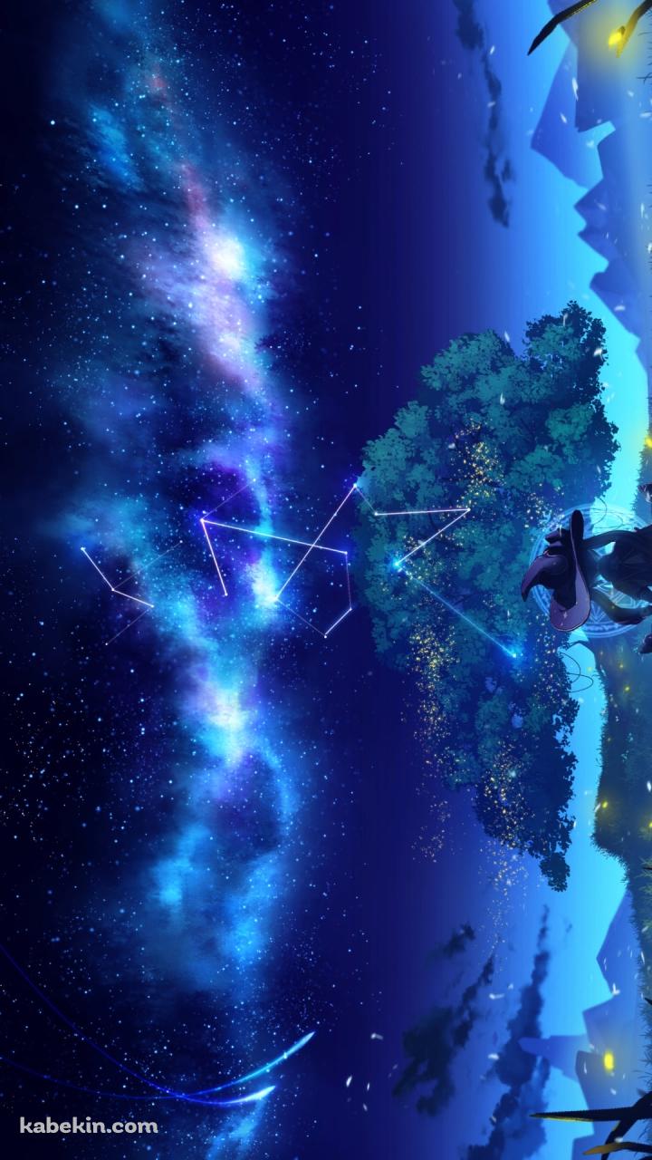 星空を見つめるモナの後ろ姿 / 原神のAndroidの壁紙(720px x 1280px) スマホ用
