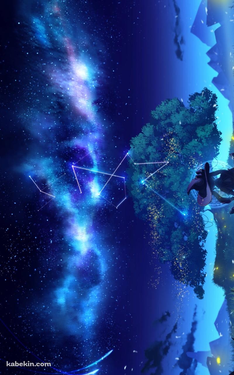 星空を見つめるモナの後ろ姿 / 原神のAndroidの壁紙(800px x 1280px) スマホ用