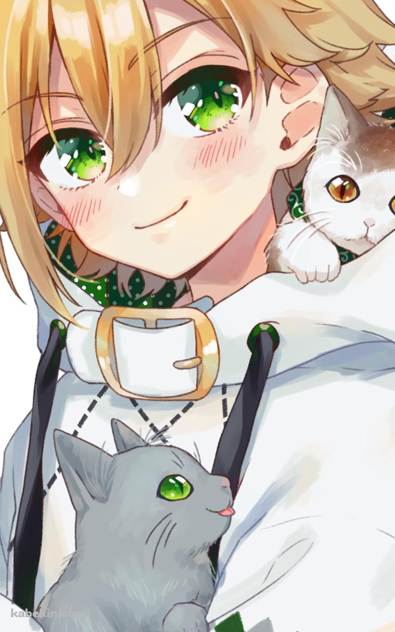 2匹の猫とこちらを見つめる卯月コウ / にじさんじ / バーチャルYouTuber / VtuberのAndroidの壁紙(800px x 1280px) スマホ用