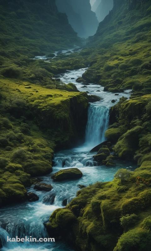 渓谷と渓流 / 大自然 / 絶景のAndroidの壁紙(480px x 800px) スマホ用