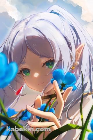 蒼月草を触るフリーレン / 葬送のフリーレンのAndroidの壁紙(320px x 480px) スマホ用
