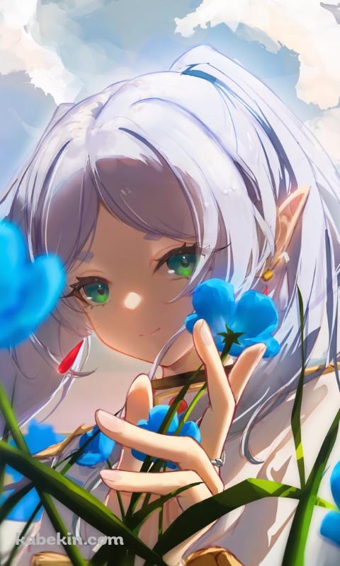 蒼月草を触るフリーレン / 葬送のフリーレンのAndroidの壁紙(480px x 800px) スマホ用