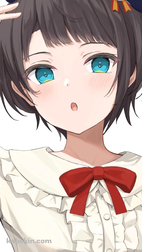 紺のベレー帽を被る大空スバル / ホロライブ / バーチャルYouTuber / VtuberのAndroidの壁紙(480px x 854px) スマホ用