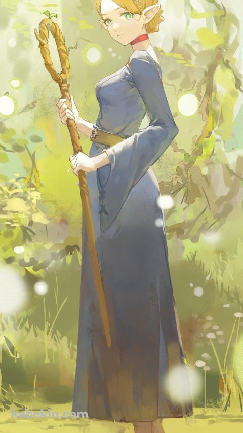 金色の杖を持ちこちらを見つめるマルシル・ドナトー / ダンジョン飯のAndroidの壁紙(480px x 854px) スマホ用