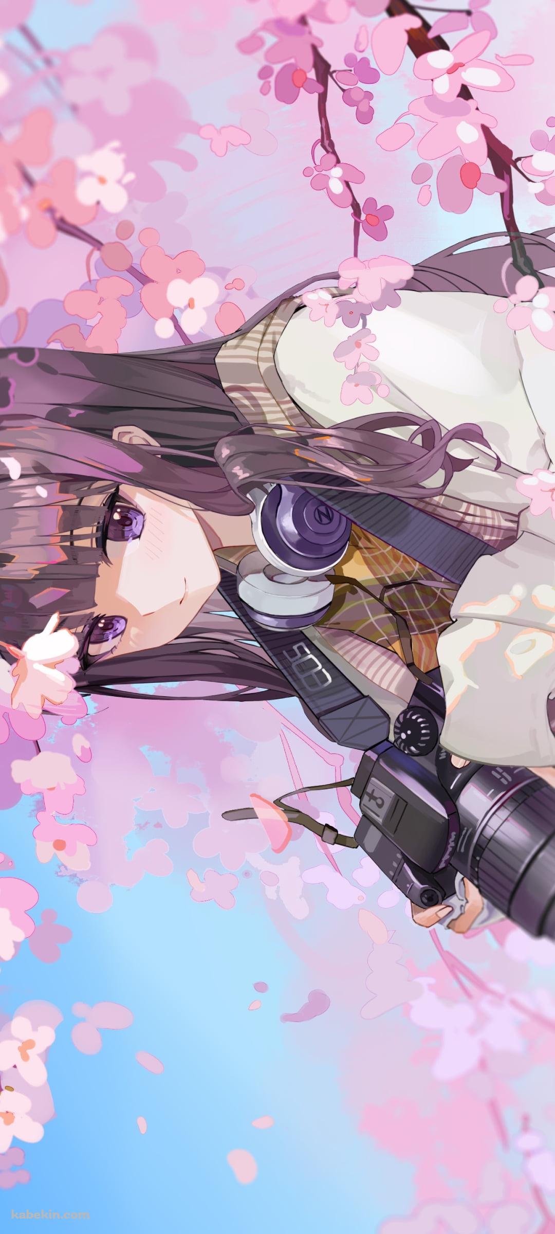 桜の花と一眼レフカメラを持つ大道寺知世 / カードキャプターさくらのAndroidの壁紙(1080px x 2400px) スマホ用