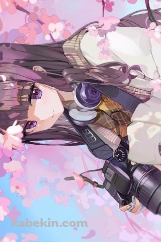 桜の花と一眼レフカメラを持つ大道寺知世 / カードキャプターさくらのAndroidの壁紙(320px x 480px) スマホ用