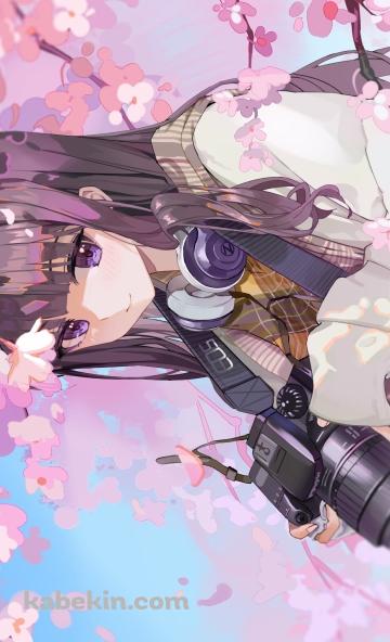 桜の花と一眼レフカメラを持つ大道寺知世 / カードキャプターさくらのAndroidの壁紙(360px x 592px) スマホ用