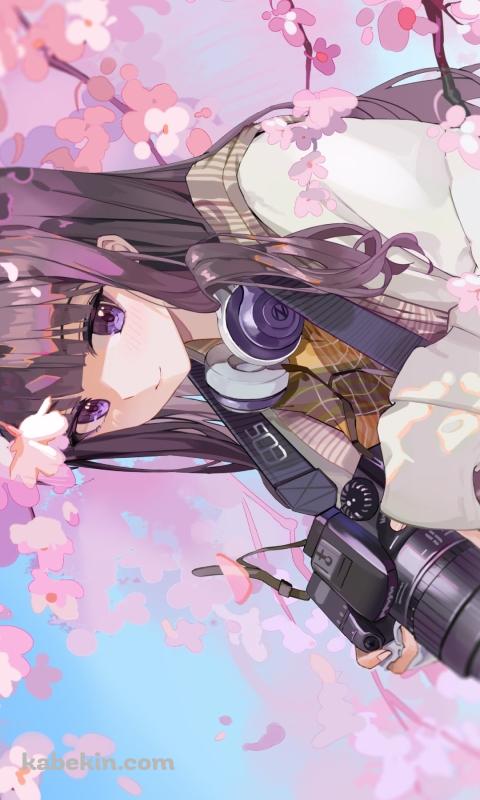桜の花と一眼レフカメラを持つ大道寺知世 / カードキャプターさくらのAndroidの壁紙(480px x 800px) スマホ用
