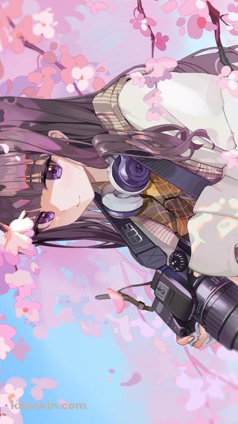 桜の花と一眼レフカメラを持つ大道寺知世 / カードキャプターさくらのAndroidの壁紙(480px x 854px) スマホ用