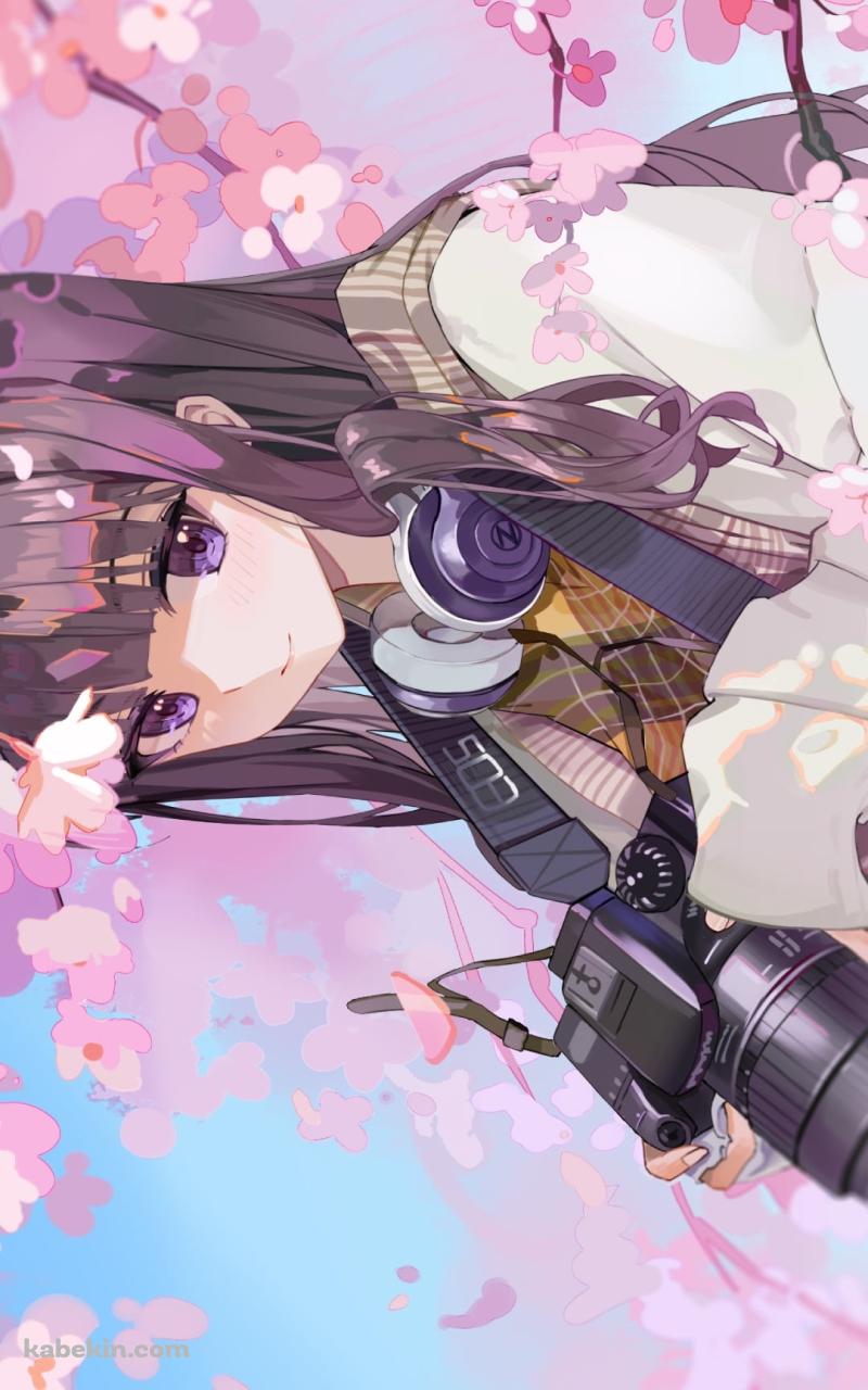 桜の花と一眼レフカメラを持つ大道寺知世 / カードキャプターさくらのAndroidの壁紙(800px x 1280px) スマホ用