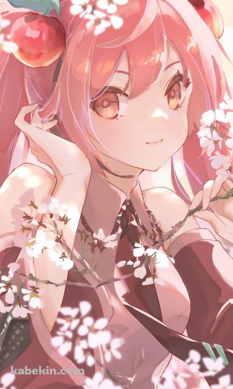 桜の枝を触る桜ミク / ボカロ / ボーカロイドのAndroidの壁紙(480px x 800px) スマホ用