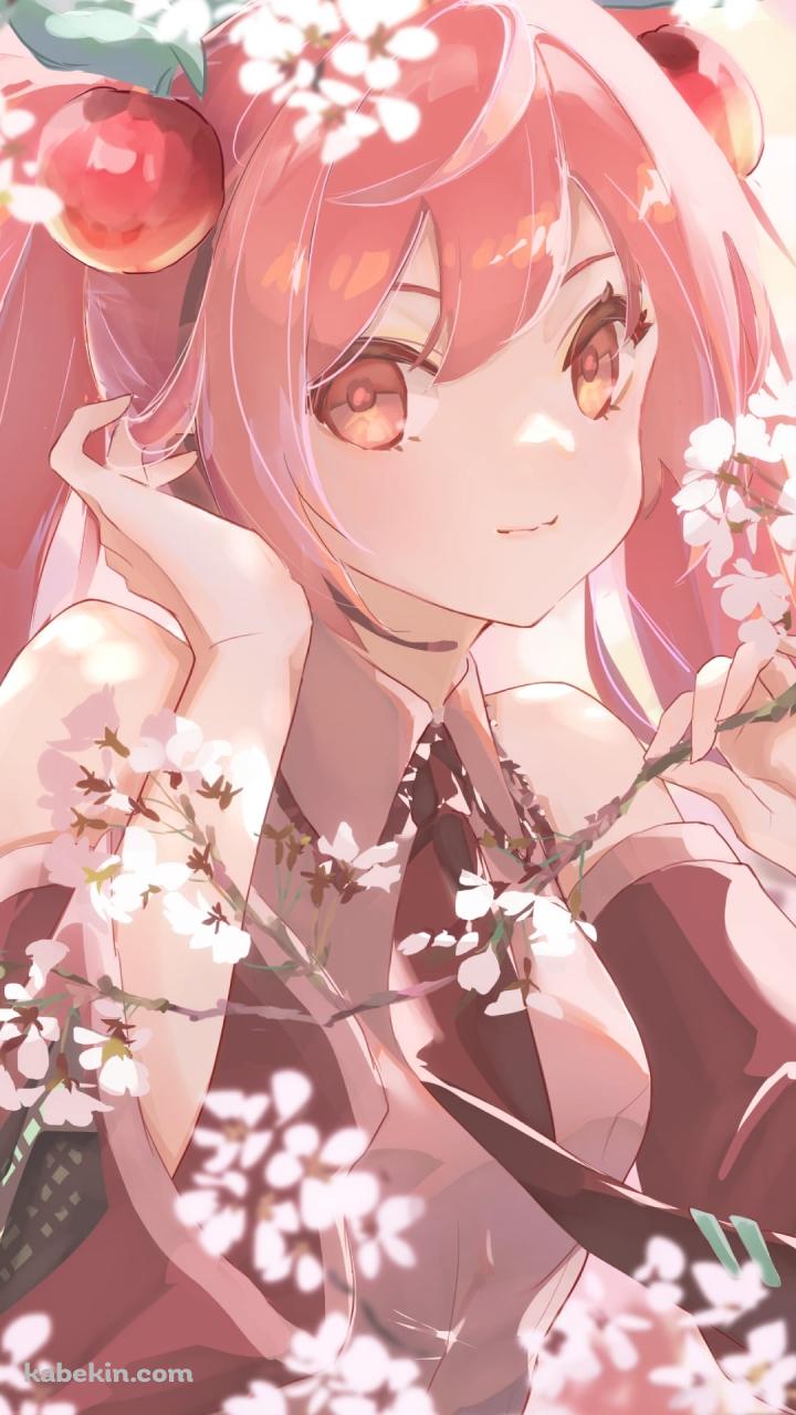 桜の枝を触る桜ミク / ボカロ / ボーカロイドのAndroidの壁紙(720px x 1280px) スマホ用