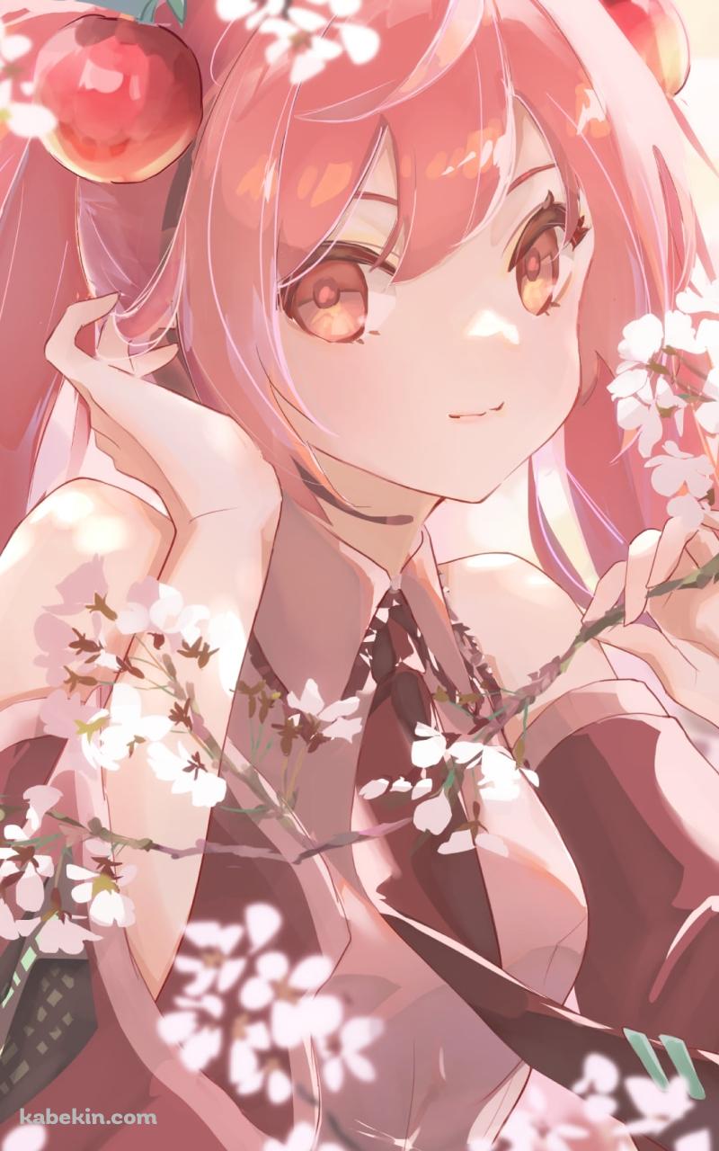 桜の枝を触る桜ミク / ボカロ / ボーカロイドのAndroidの壁紙(800px x 1280px) スマホ用