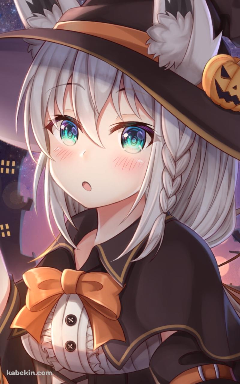 ハロウィンコスの可愛い白上フブキ / ホロライブ / バーチャルYouTuberのAndroidの壁紙(800px x 1280px) スマホ用
