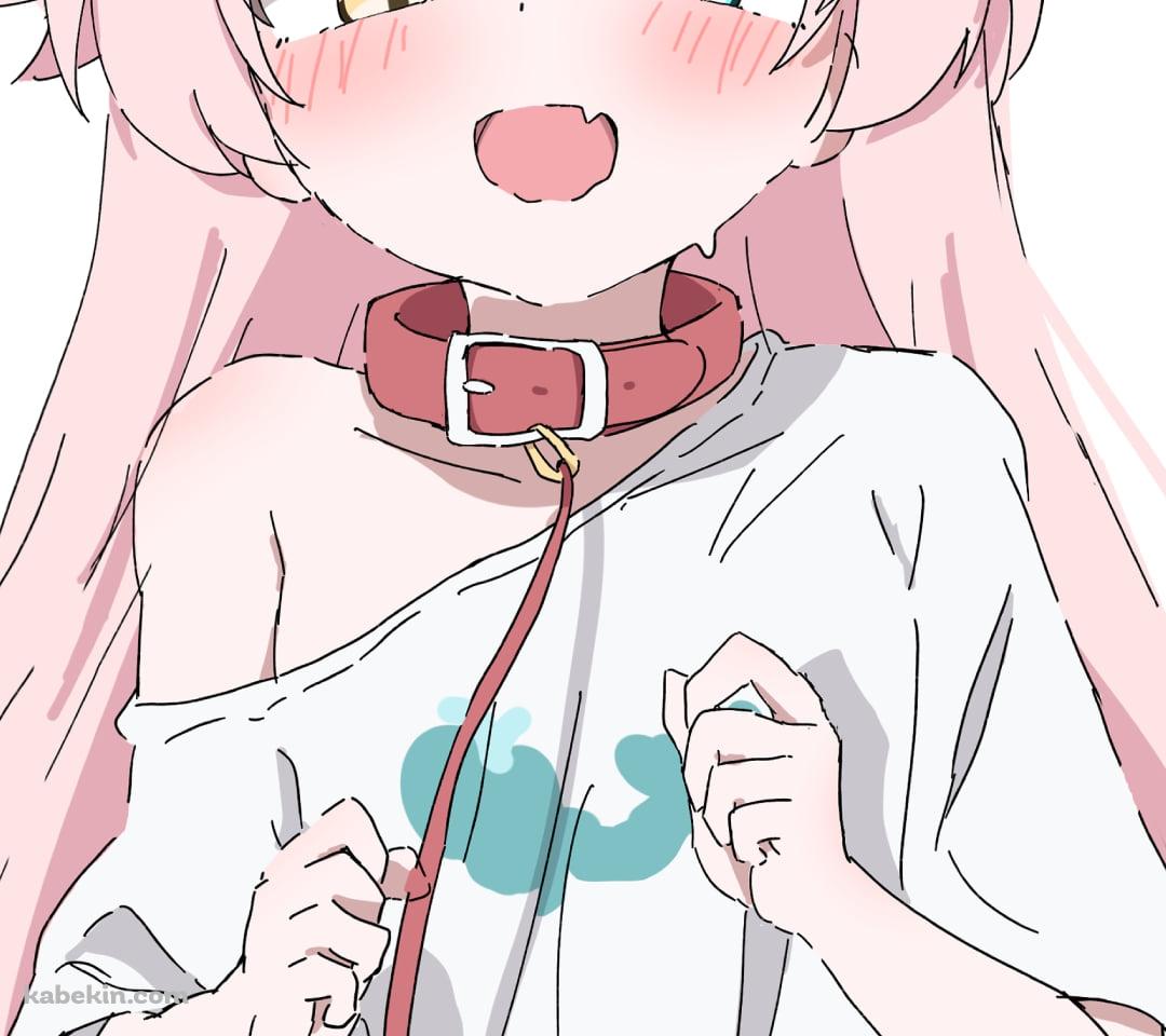 首輪をつけた小鳥遊ホシノ / ブルーアーカイブのAndroidの壁紙(1080px x 960px) スマホ用