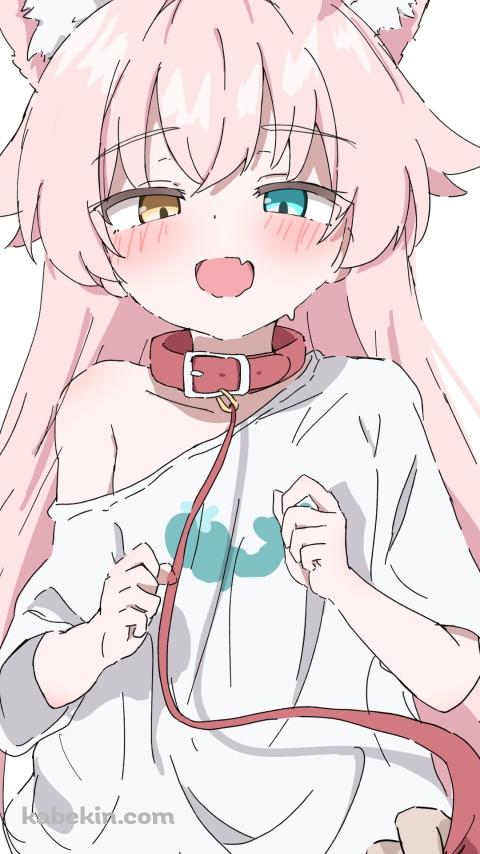 首輪をつけた小鳥遊ホシノ / ブルーアーカイブのAndroidの壁紙(480px x 854px) スマホ用