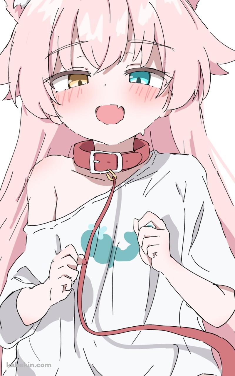 首輪をつけた小鳥遊ホシノ / ブルーアーカイブのAndroidの壁紙(800px x 1280px) スマホ用