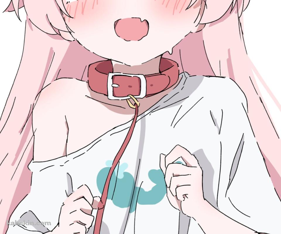 首輪をつけた小鳥遊ホシノ / ブルーアーカイブのAndroidの壁紙(960px x 800px) スマホ用