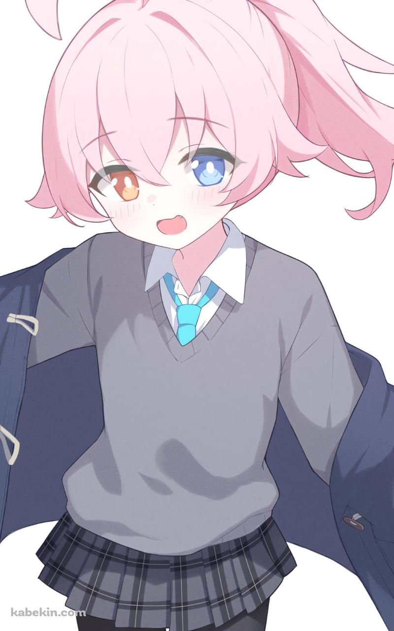 両腕を広げる小鳥遊ホシノ / ブルーアーカイブのAndroidの壁紙(800px x 1280px) スマホ用