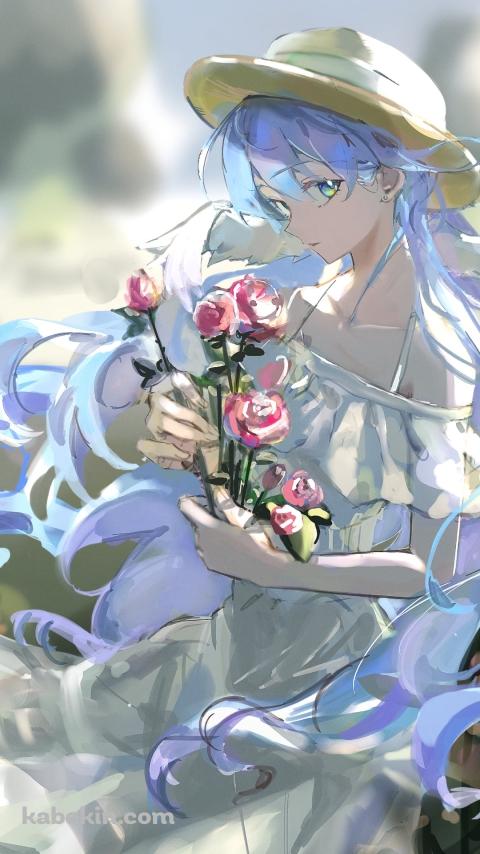 ピンクの薔薇をつむロビン / 崩壊:スターレイルのAndroidの壁紙(480px x 854px) スマホ用