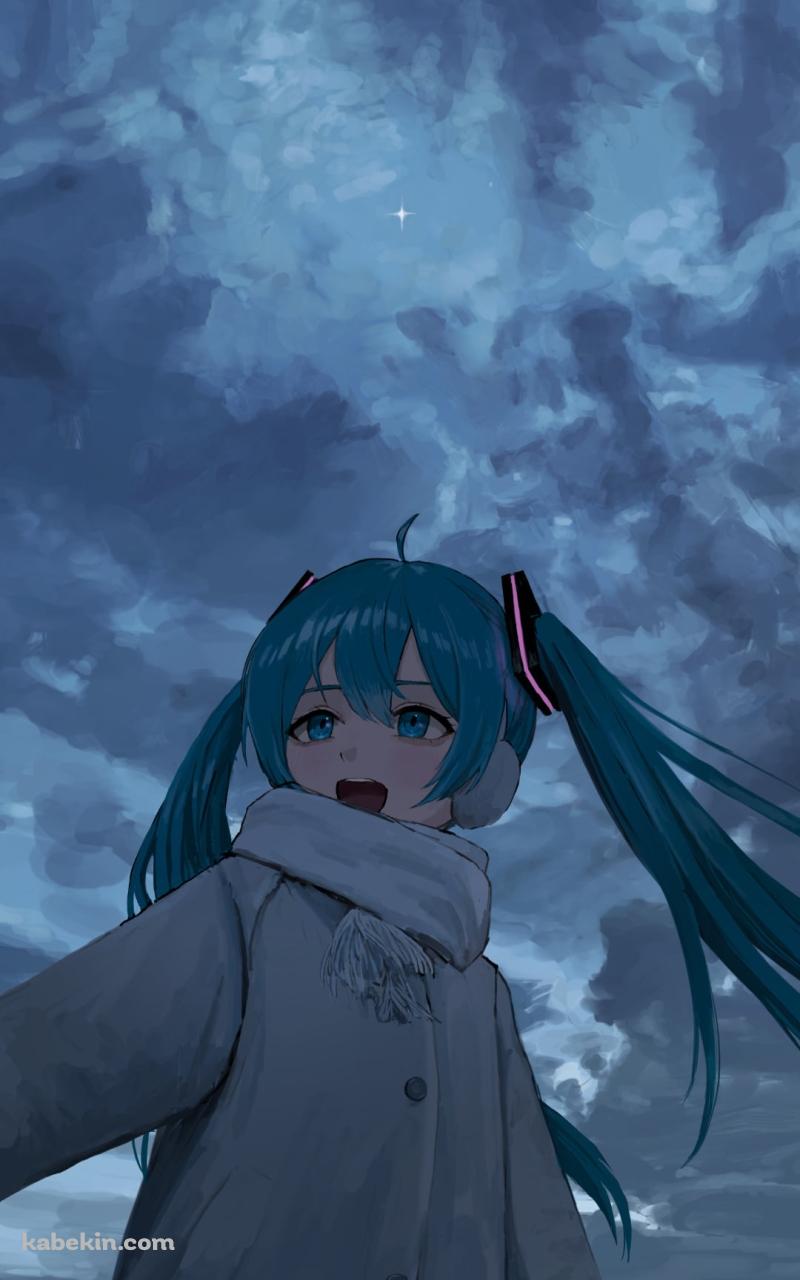 曇り空とネギを持つ初音ミク / ボーカロイドのAndroidの壁紙(800px x 1280px) スマホ用