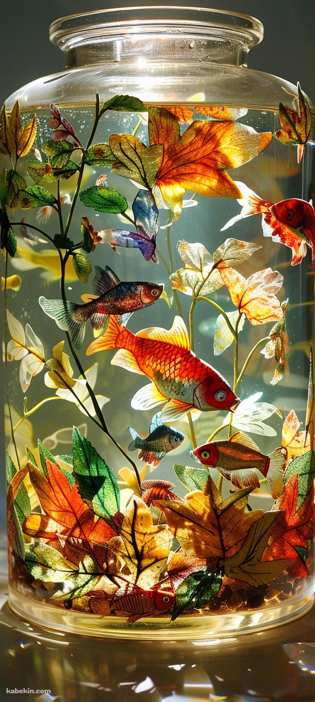 瓶に入った金魚と水草 / 綺麗のAndroidの壁紙(1080px x 2400px) スマホ用