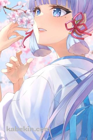 桜の花を愛でる神里綾華 / 原神のAndroidの壁紙(320px x 480px) スマホ用