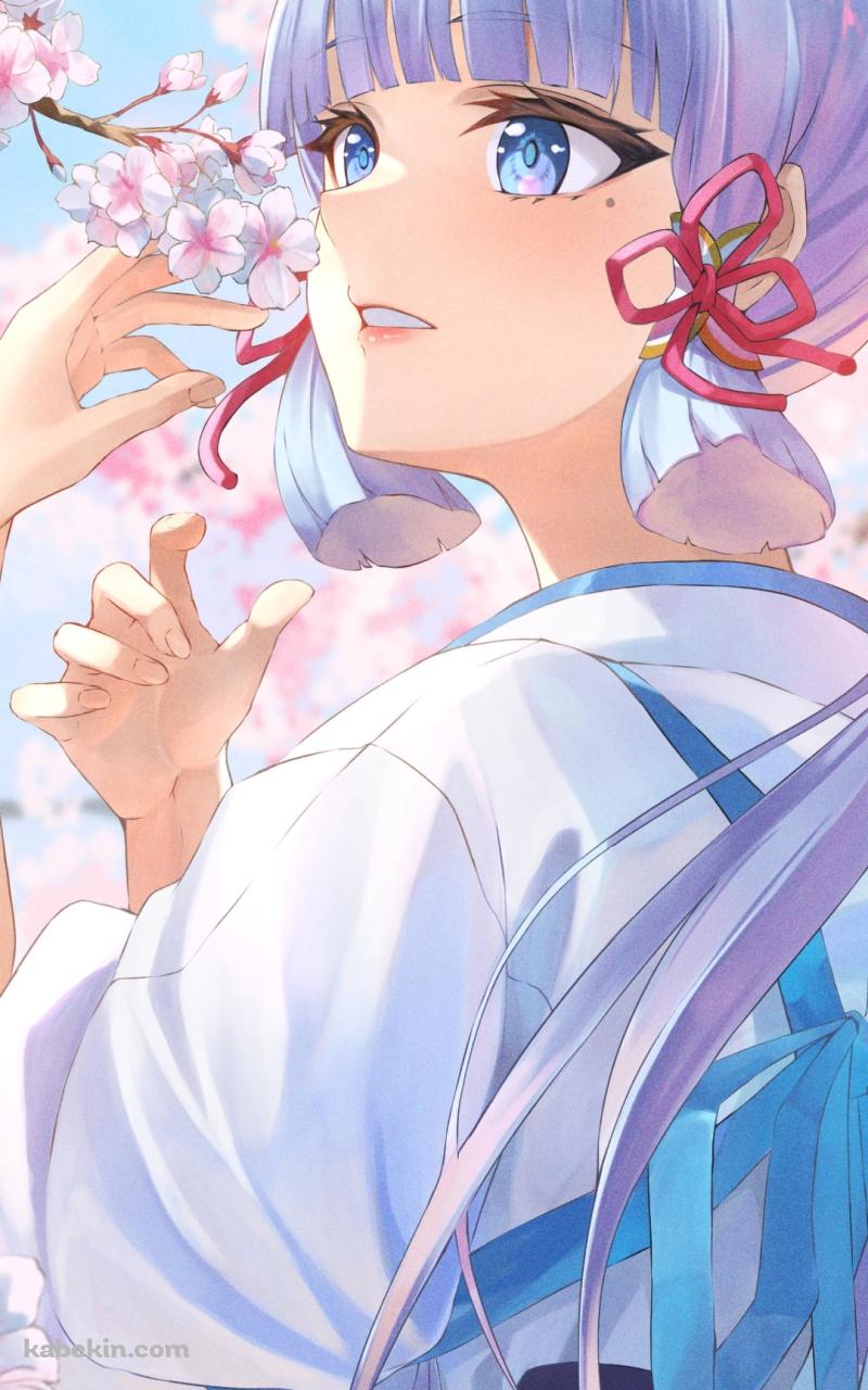 桜の花を愛でる神里綾華 / 原神のAndroidの壁紙(800px x 1280px) スマホ用