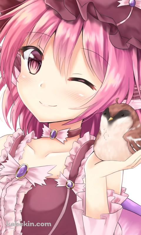 雀を手にのせたミスティア・ローレライ / 東方のAndroidの壁紙(480px x 800px) スマホ用