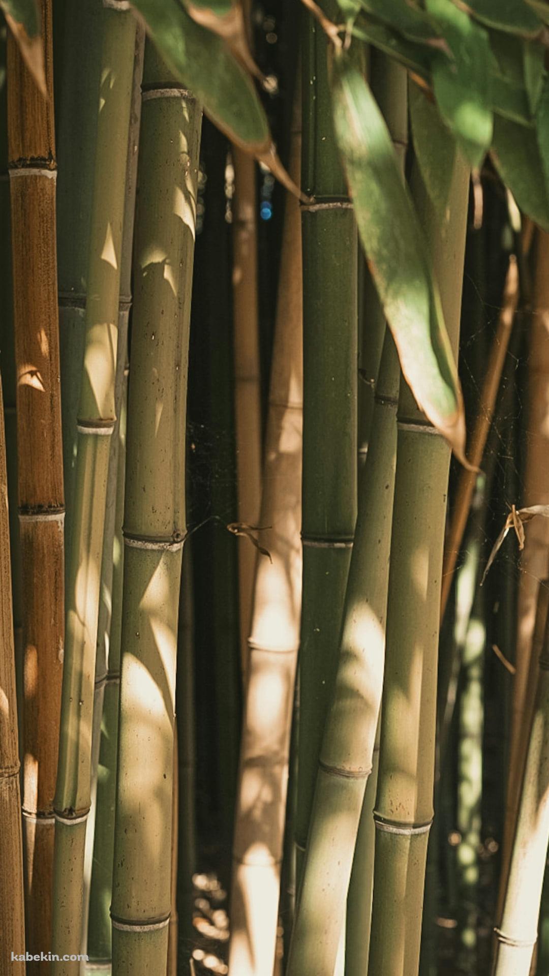 光り射す竹やぶのAndroidの壁紙(1080px x 1920px) スマホ用