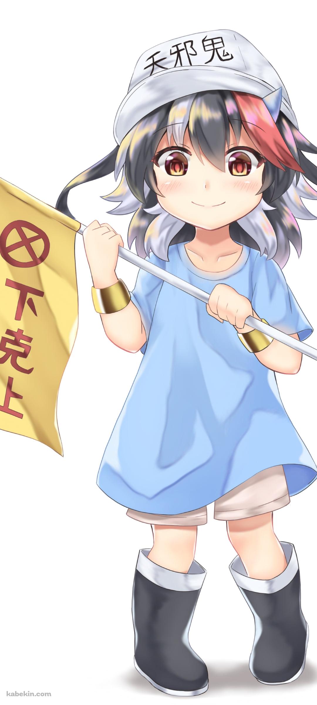 下剋上の旗を持つ可愛い鬼人正邪 / 血小板 / はたらく細胞のAndroidの壁紙(1080px x 2400px) スマホ用
