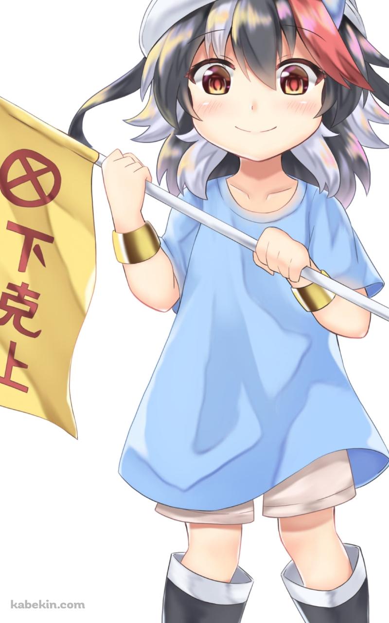 下剋上の旗を持つ可愛い鬼人正邪 / 血小板 / はたらく細胞のAndroidの壁紙(800px x 1280px) スマホ用