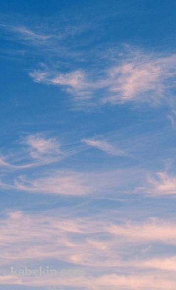 淡い雲 / 秋の空のAndroidの壁紙(360px x 592px) スマホ用