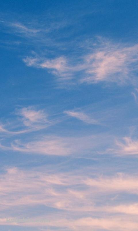 淡い雲 / 秋の空のAndroidの壁紙(480px x 800px) スマホ用