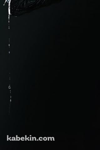 めちゃくちゃかっこいいエイリアン / Alien 2024のAndroidの壁紙(320px x 480px) スマホ用