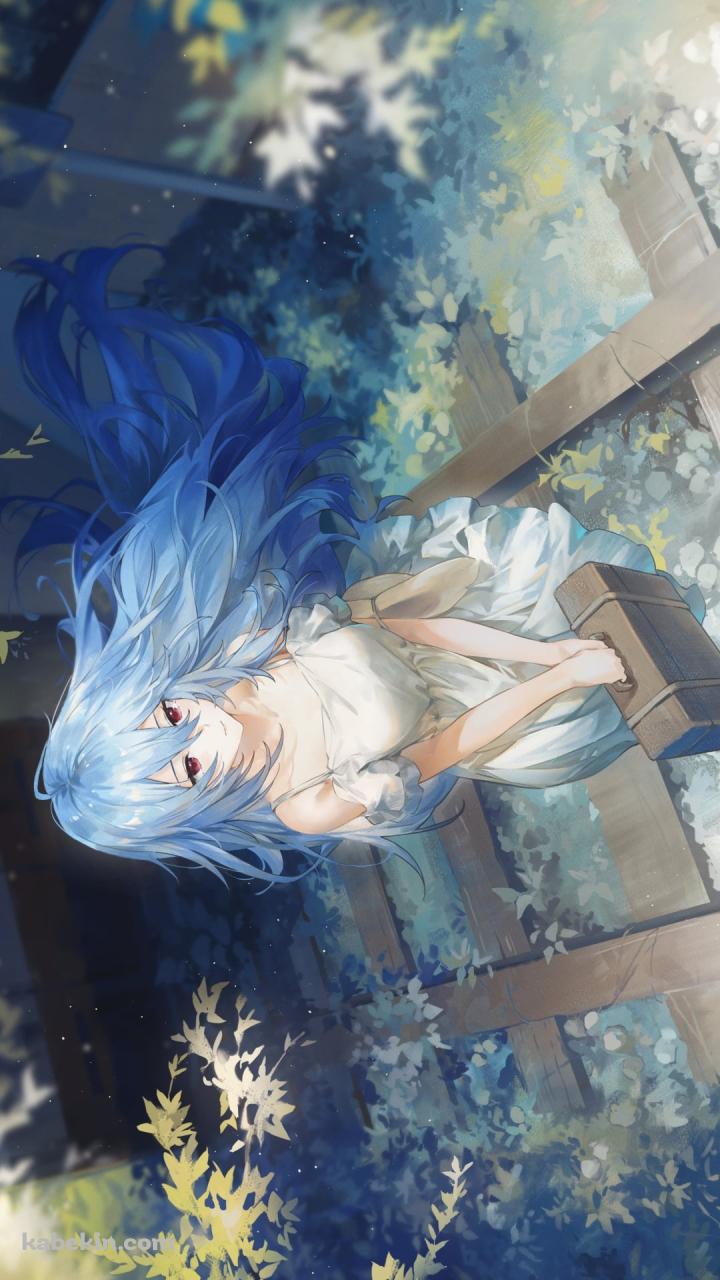 廃れた線路の上に立つ綾波レイ / 新世紀エヴァンゲリオンのAndroidの壁紙(720px x 1280px) スマホ用