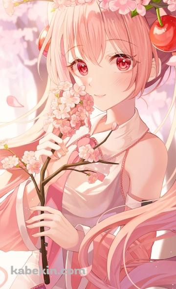 桜の花を持つ桜ミク / ボーカロイドのAndroidの壁紙(360px x 592px) スマホ用