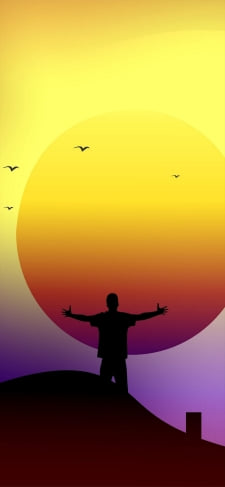 手を広げた男性 夕焼け鳥のiPhone / スマホ壁紙