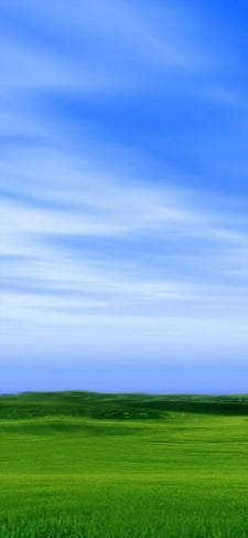 青空と緑の草原のiPhone / スマホ壁紙