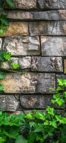 石垣と緑の葉のiPhone / スマホ壁紙
