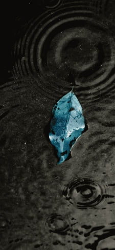 青い葉っぱと水のiPhone / スマホ壁紙