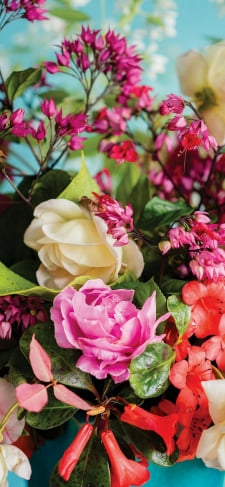 カラフル 綺麗な花のiPhone / スマホ壁紙