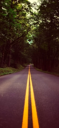 緑の森の中の黒い道路のiPhone / スマホ壁紙