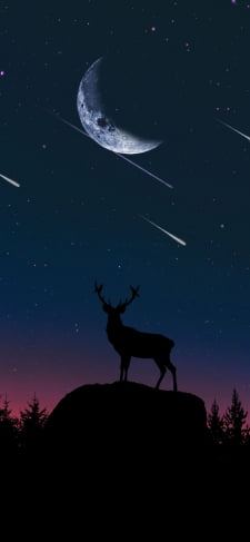 月 丘の上の鹿と流星のiPhone / スマホ壁紙