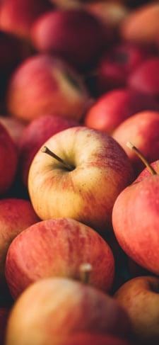 リンゴ祭りのiPhone / スマホ壁紙