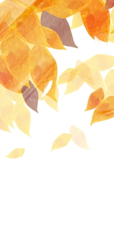 秋 紅葉のイラストのiPhone / スマホ壁紙