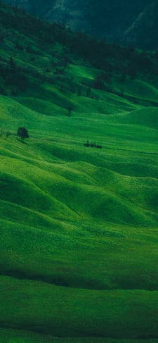 緑豊かな丘陵地帯のiPhone / スマホ壁紙
