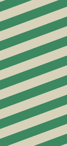 緑のボーダー柄のiPhone / スマホ壁紙