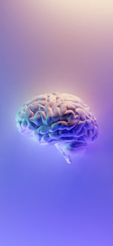 紫の脳みそのiPhone / スマホ壁紙